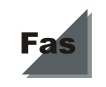 FAS Finanz Analytische Solutions GmbH