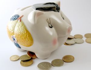 1102930_piggy_bank_1