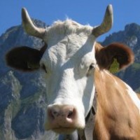 Германия и Швейцария урегулировали спор о налогах