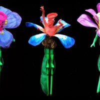 chudaki-bouquet