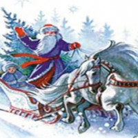 Новогодние Елки в Испании