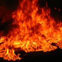 Взрыв в аэропорту Домодедово Горячая линия 
