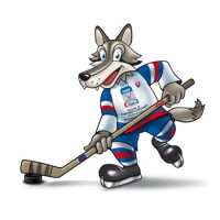 ЧМ 2011 Хоккей Россия Канада Четвертьфинал