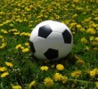 futboll