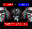 Тимати Party Animal DJ Meg ft. Timati 