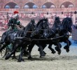Equitana 2011 Выставка Эквитана 2011