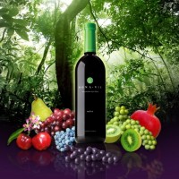 MonaVie – наслаждайся чудодейственной ягодой Акаи