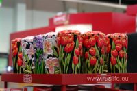 ISM_Cologne_2011_19