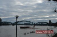 Koeln_Hochwasser_2011_19