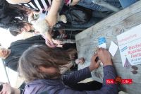 Tancy_Minus_drf_2011_8